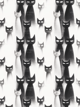 Load image into Gallery viewer, R37 - Judgy Cats