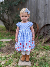Load image into Gallery viewer, Pre-Order R41 - July 10th - July 24th - Cherry Border Gingham