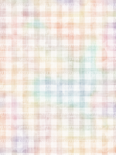 Load image into Gallery viewer, Pre-Order R41 - July 10th - July 24th - Swirl Gingham