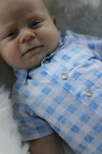Load image into Gallery viewer, Pre-Order R41 - July 10th - July 24th - Baby Blue Gingham
