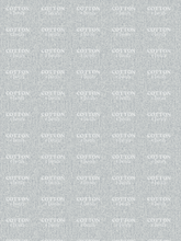 Load image into Gallery viewer, Pre-Order R41 - July 10th - July 24th - Light Jean Look
