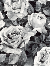 Load image into Gallery viewer, R31 - Monochrome Linen Roses
