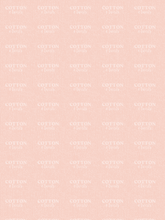 Load image into Gallery viewer, Pre-Order R41 - July 10th - July 24th - Peach Canvas Look
