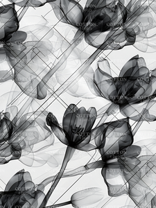 Pre-Order R38 - Oct. 3rd - Oct. 17th - X-Ray Floral